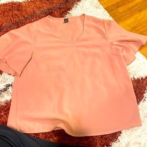 Brand new, new worn Blush dress top